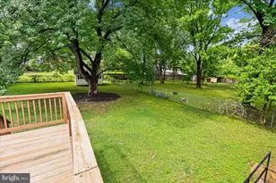 9817 Cherry Tree Ln, Silver Spring, MD 20901 - Photo 23