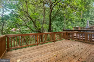 6443 Orchard Ave, Takoma Park, MD 20912 - Photo 3