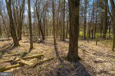 19601 Darnestown Road, Beallsville, MD 20839 - Photo 31