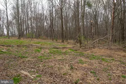 19601 Darnestown Road, Beallsville, MD 20839 - Photo 75