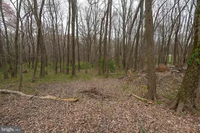 19601 Darnestown Road, Beallsville, MD 20839 - Photo 57