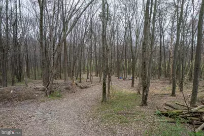19601 Darnestown Road, Beallsville, MD 20839 - Photo 85
