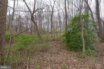 19601 Darnestown Road, Beallsville, MD 20839 - Photo 37