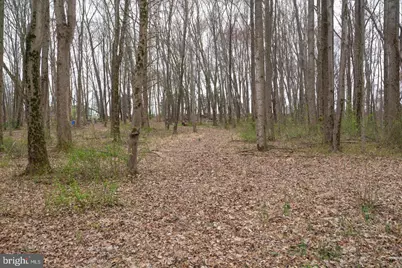 19601 Darnestown Road, Beallsville, MD 20839 - Photo 39