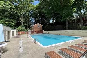 8525 Geren Rd, Silver Spring, MD 20901 - Photo 29