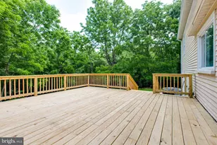 10301 Bloom Dr, Damascus, MD 20872 - Photo 31