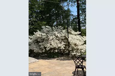 8309 Old Seven Locks Road, Bethesda, MD 20817 - Photo 15