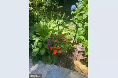 8309 Old Seven Locks Road, Bethesda, MD 20817 - Photo 13
