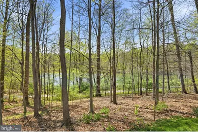 20605 Hazelnut Court, Germantown, MD 20874 - Photo 69