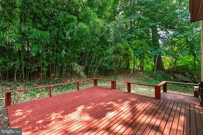 9217 Three Oaks Drive, Silver Spring, MD 20901 - Photo 59