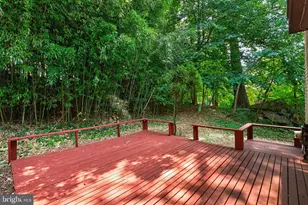 9217 Three Oaks Dr, Silver Spring, MD 20901 - Photo 59