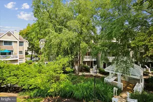 10827 Hampton Mill Terrace, Rockville, MD 20852 - Photo 9