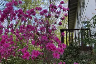 10612 Crossing Creek Rd, Potomac, MD 20854 - Photo 45