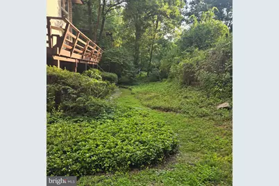 10612 Crossing Creek Road, Potomac, MD 20854 - Photo 3