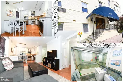 7036 Strathmore Street #211, Chevy Chase, MD 20815 - Photo 1