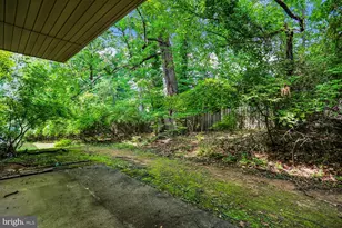 10507 Weymouth St, Bethesda, MD 20814 - Photo 37