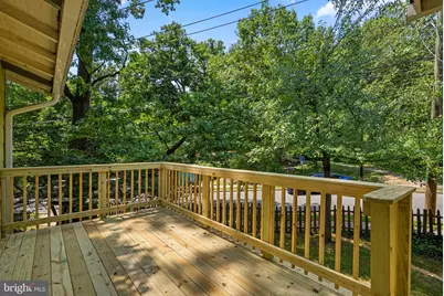 301 Elm Avenue, Takoma Park, MD 20912 - Photo 35