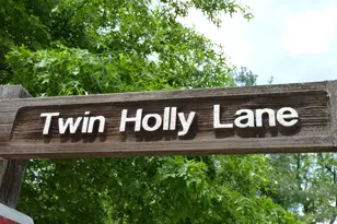 703 Twin Holly Ln, Silver Spring, MD 20910 - Photo 23