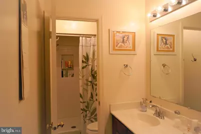 703 Twin Holly Lane, Silver Spring, MD 20910 - Photo 21