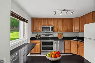 11419 Lund Pl, Kensington, MD 20895 - Photo 11