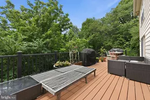 9213 Mistwood Dr, Potomac, MD 20854 - Photo 13