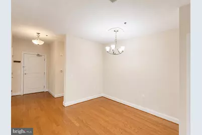 38 Maryland Avenue #335, Rockville, MD 20850 - Photo 9