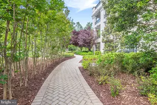 8111 River Rd, Bethesda, MD 20817 - Photo 9