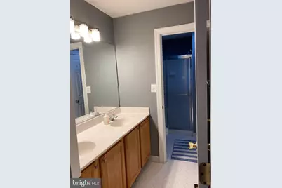 305 Flannery Lane, Silver Spring, MD 20904 - Photo 13