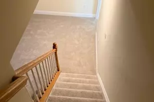 305 Flannery Ln, Silver Spring, MD 20904 - Photo 19