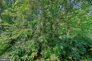 9910 Walker House Rd, Gaithersburg, MD 20886 - Photo 17