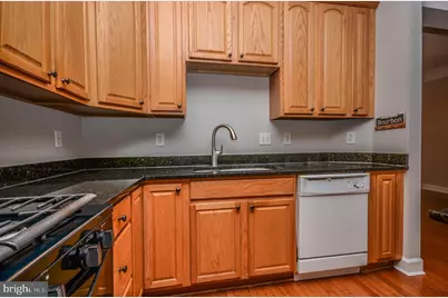 1019 Reserve Champion Drive, Rockville, MD 20850 - Photo 13