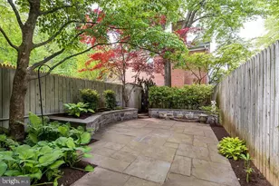 3500 Hamlet Pl, Chevy Chase, MD 20815 - Photo 37