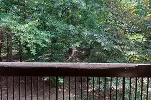 4936 Sentinel Dr, Bethesda, MD 20816 - Photo 7