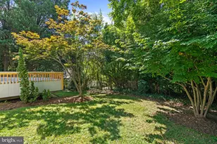 4702 Essex Ave, Chevy Chase, MD 20815 - Photo 85