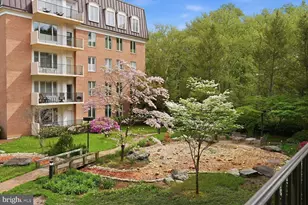8101 Connecticut Ave, Chevy Chase, MD 20815 - Photo 9