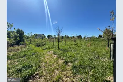15491 Barnesville Road, Boyds, MD 20841 - Photo 17