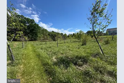 15491 Barnesville Road, Boyds, MD 20841 - Photo 7