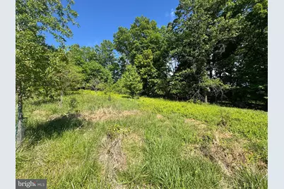15491 Barnesville Road, Boyds, MD 20841 - Photo 15