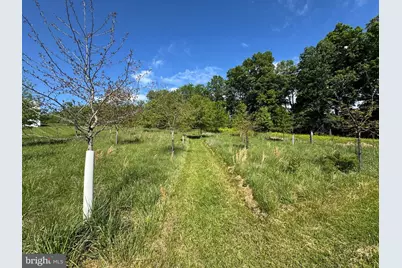 15491 Barnesville Road, Boyds, MD 20841 - Photo 11