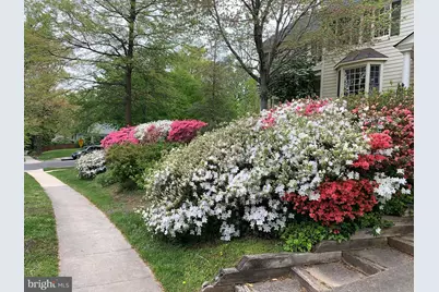6807 Meadow Lane, Chevy Chase, MD 20815 - Photo 21