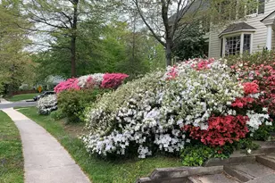 6807 Meadow Ln, Chevy Chase, MD 20815 - Photo 21