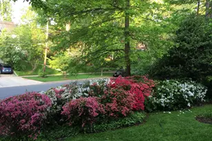 6807 Meadow Ln, Chevy Chase, MD 20815 - Photo 23