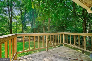 13900 Leibig Rd, Silver Spring, MD 20904 - Photo 39