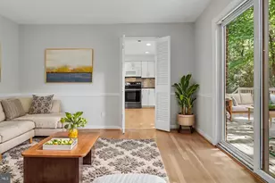 7800 Seven Locks Rd, Bethesda, MD 20817 - Photo 11