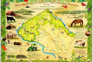 17225 General Custer Way, Poolesville, MD 20837 - Photo 111