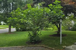 [Address not provided], Potomac, MD 20854 - Photo 15