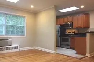 7219 Flower Ave, Takoma Park, MD 20912 - Photo 5