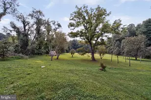 311 Bryants Nursery Rd, Silver Spring, MD 20905 - Photo 5