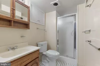 1007 Ruppert Road, Silver Spring, MD 20903 - Photo 41