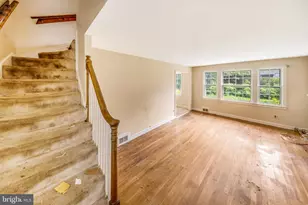 207 Lexington Dr, Silver Spring, MD 20901 - Photo 11